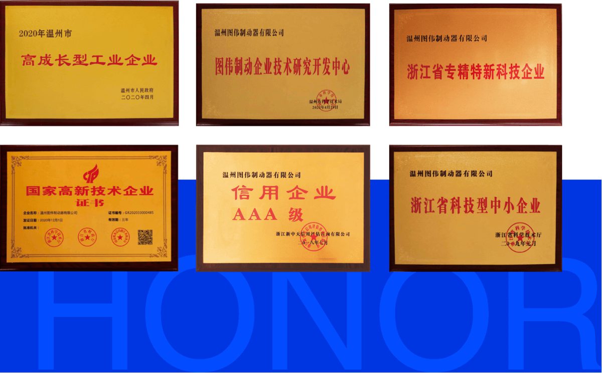 TOPWEST enterprise honor plaques